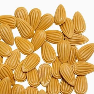 NEW BADAM TASBIH ISLAMIC Plastic BADAM TASBIH